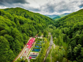 Hotels in Candesti